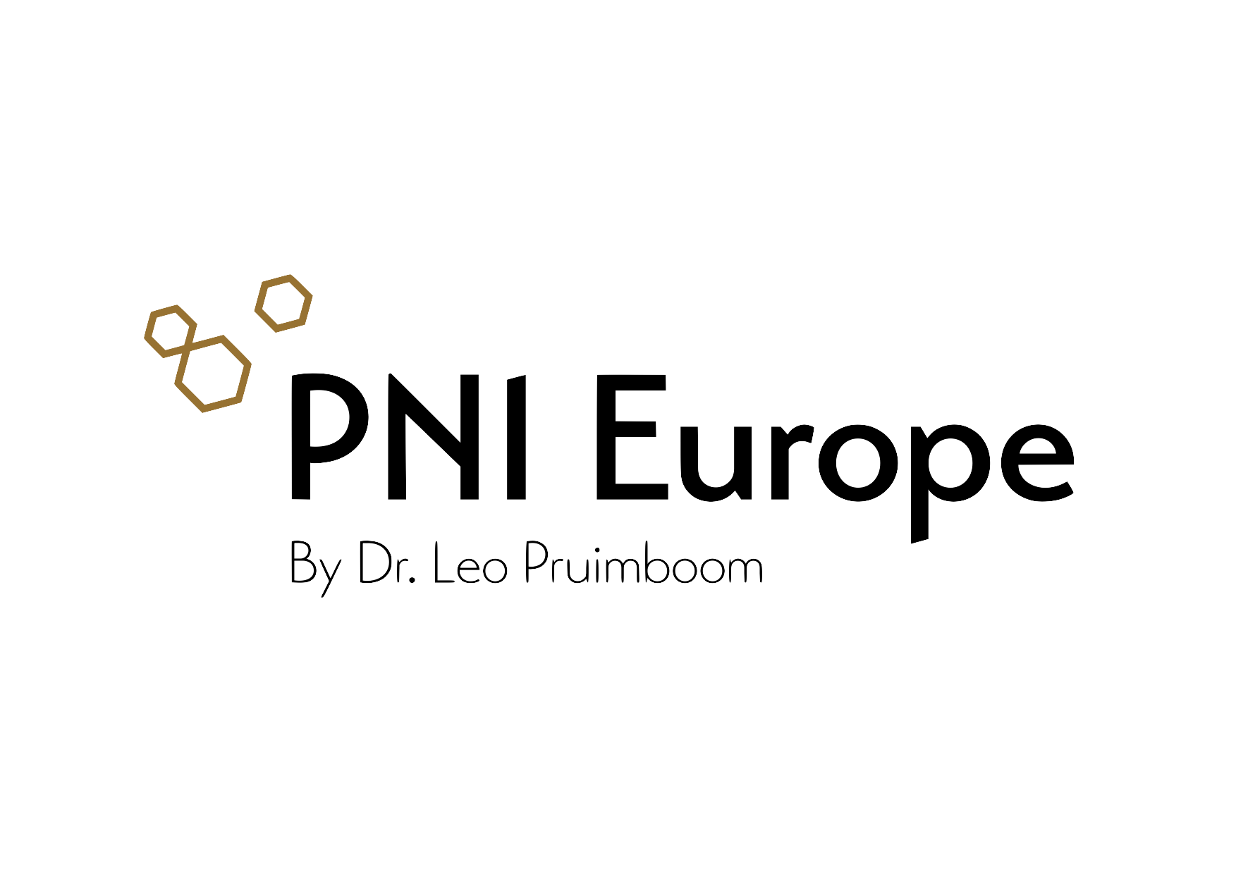 PNIEurope-Logo-Transparanz-RGB PNG PNI Europe